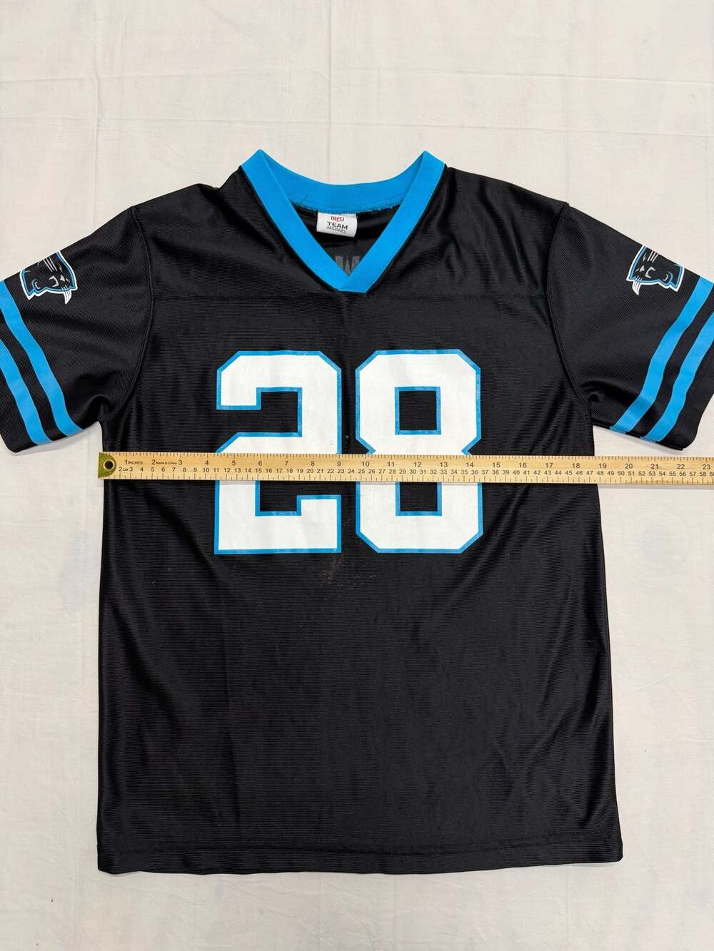 Jonathan Stewart #28 Carolina Panthers NFL Team Apparel Youth Jersey - Picture 3 of 9